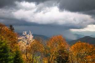 Storm in the Smokeys-9027.jpg Storm in the Smokeys-9027.jpg